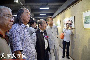 视频：山草情·高卉民大写意花鸟画展亮相津门