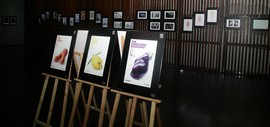 高清图：创意启发未来 纽约广告节最佳作品展映在天津高新区举行