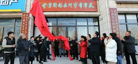 天津市宁河区楹联学会暨中国楹联书画院宁河分院揭牌