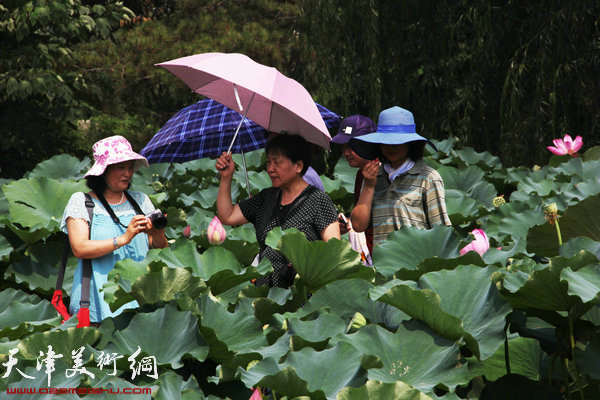 天津水彩画家出席台儿庄古城写生基地推介会