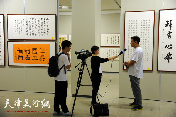 图为陈鹏在展览现场接受媒体采访。