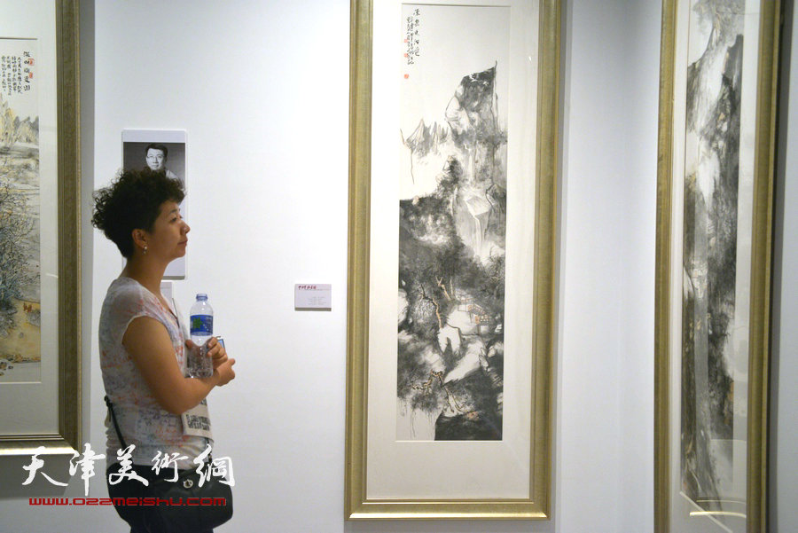 “中国梦·翰墨缘”五画院联展在天津博物馆展出，图为