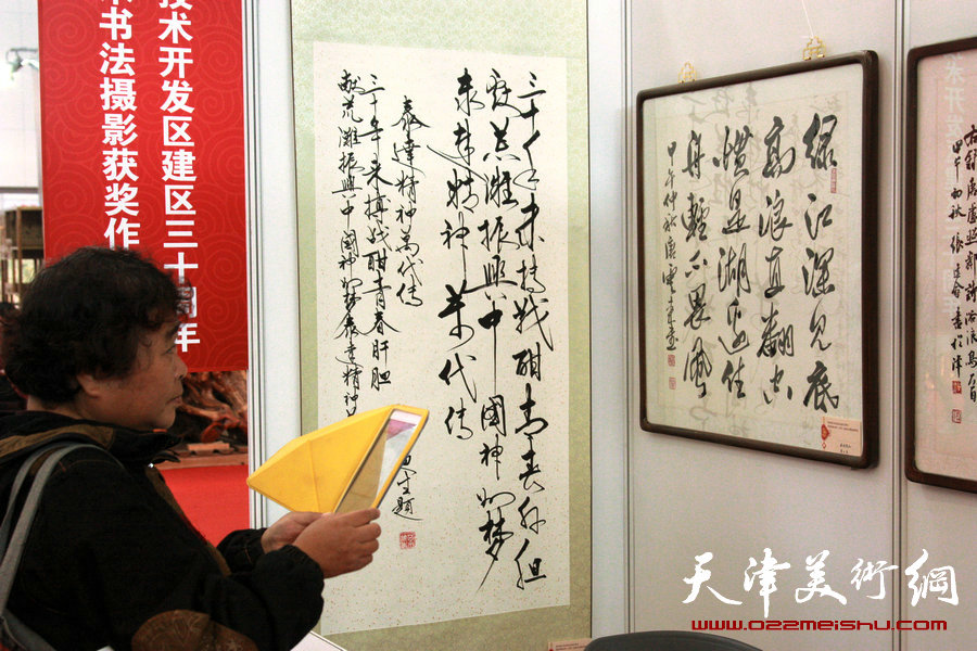 记录三十年 天津开发区美术书法摄影获奖作品展开展