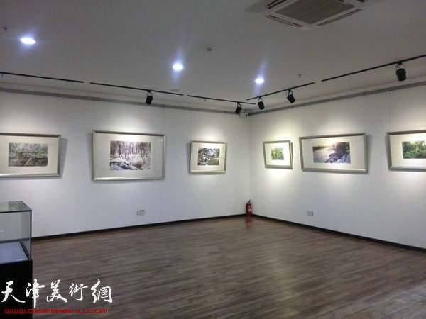 “梦之旅——杜晓光水彩画巡展”现场。