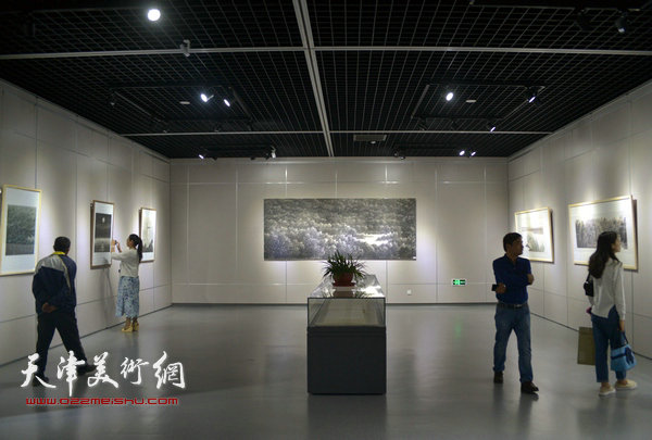 “淀上轻风”苏锡超绘画作品展现场。