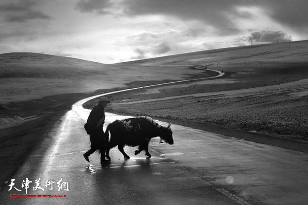 藏地·深呼吸-站台三10人藏区主题视觉艺术展参展作品