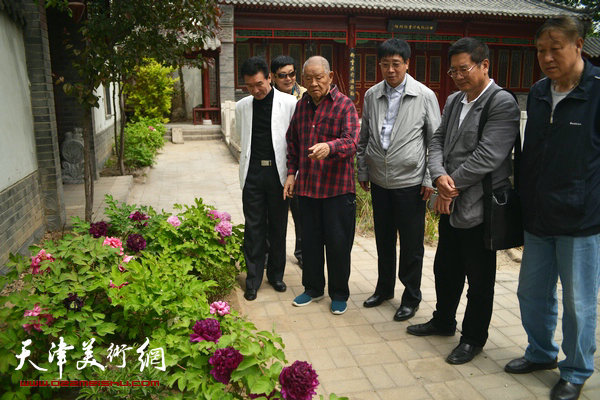 图为张锡武陪同天津画家在“牡丹园”观赏。