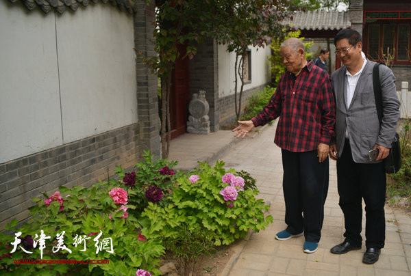 图为张锡武、张佩刚在“牡丹园”观赏牡丹。