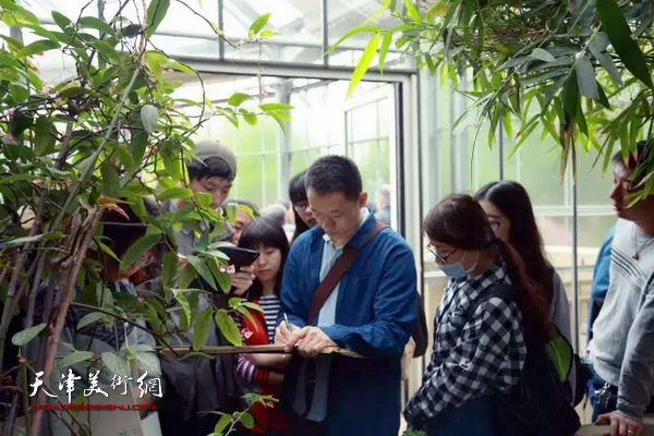 天津美院教授周午生带领学生在武汉植物园写生