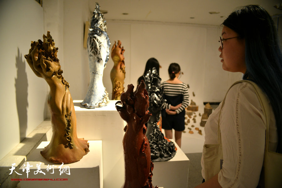 “在花园”天津美术学院2016毕业创作展