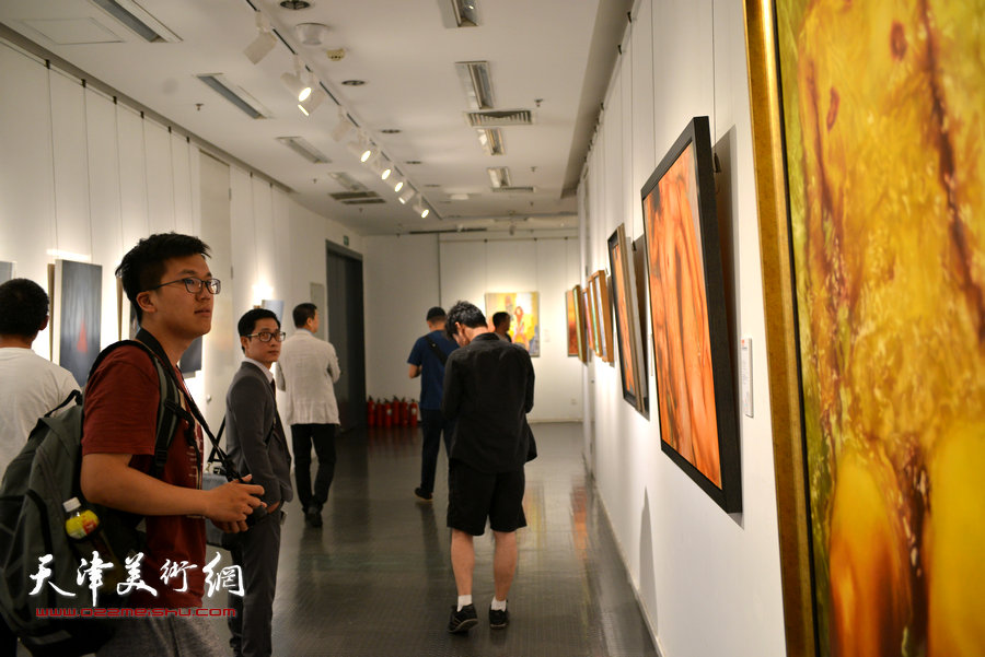 异彩同辉-2016中国-东盟建立对话关系25周年纪念画展