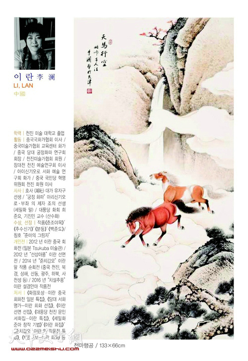 韩国版李澜介绍