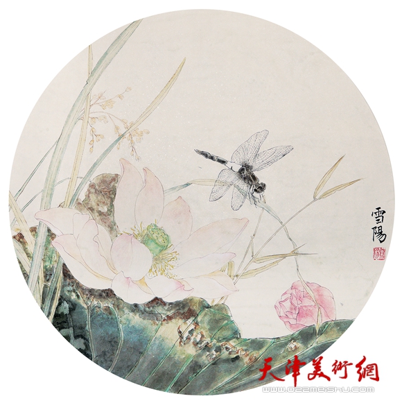 庄雪阳作品《凉花如梦立蜻蜓》