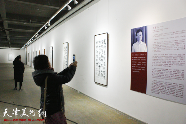 书家陈小松书法展