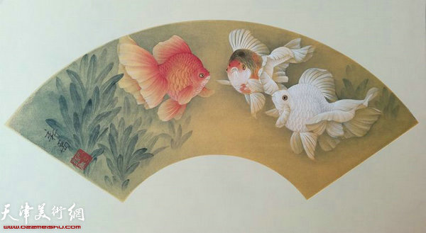 花宽尾镏金