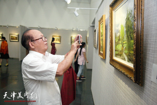 远方的风景-杨俊甫小幅油画风景写生展