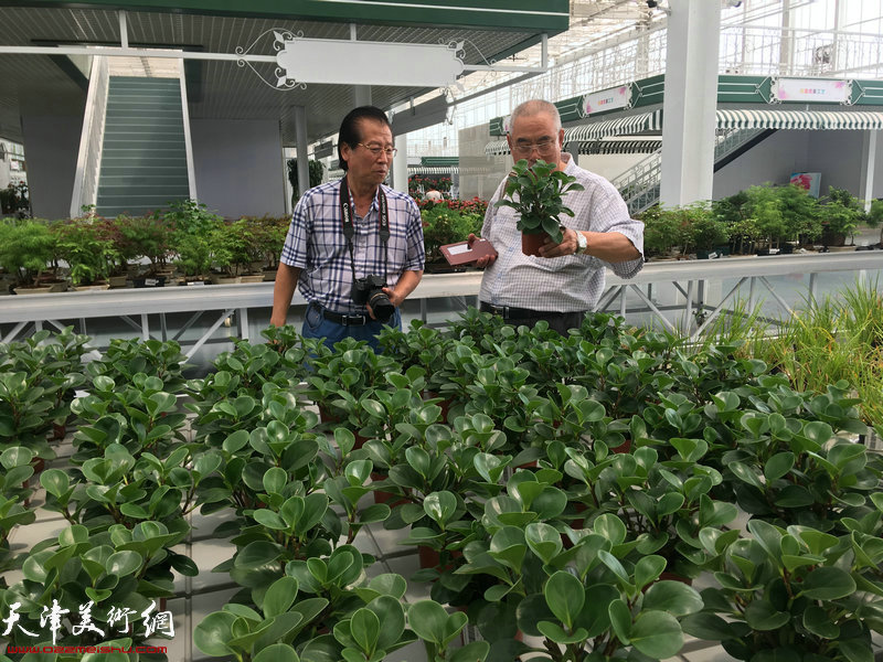 吕宝珠、王义常在大顺园林采风中。