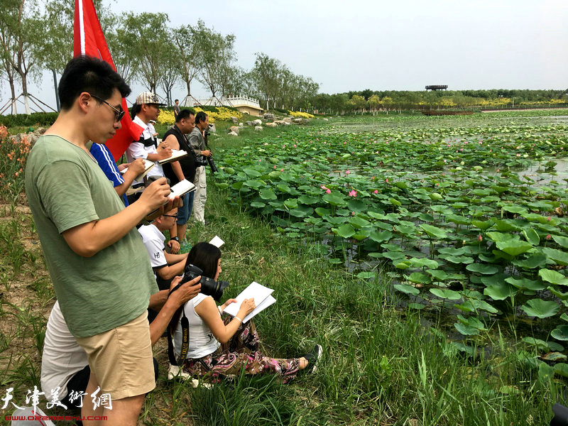 天津城市画派走进东丽采风活动来到东丽湖自然艺苑区写生