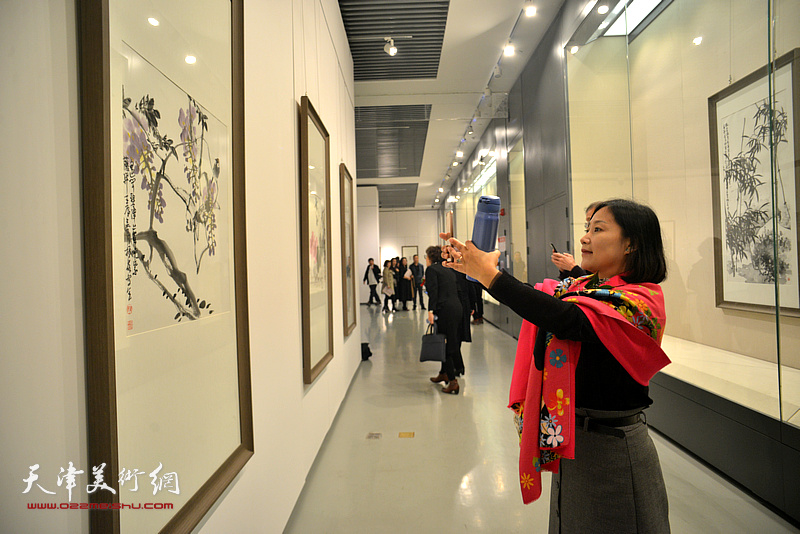 庆祝改革开放四十周年-史振岭花鸟画作品展现场。