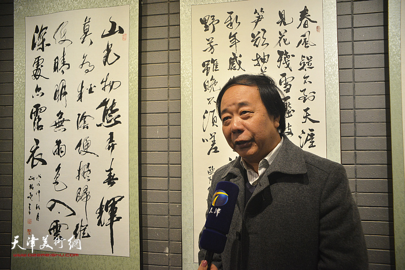 赵寅在展览现场接受媒体采访。