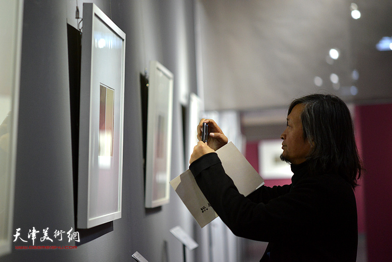 何加林观看《芥子园画传》成书与流变展。