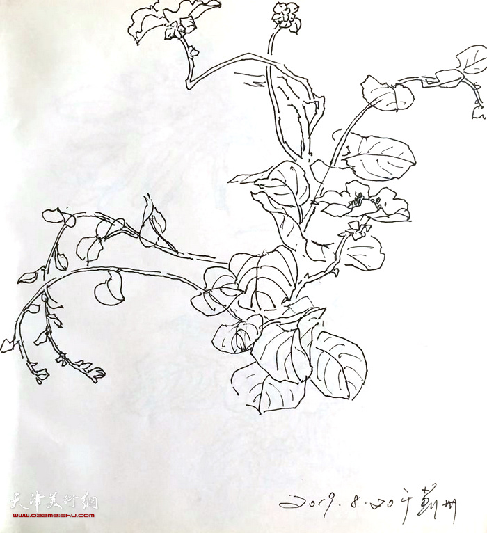 萧惠珠写生作品。