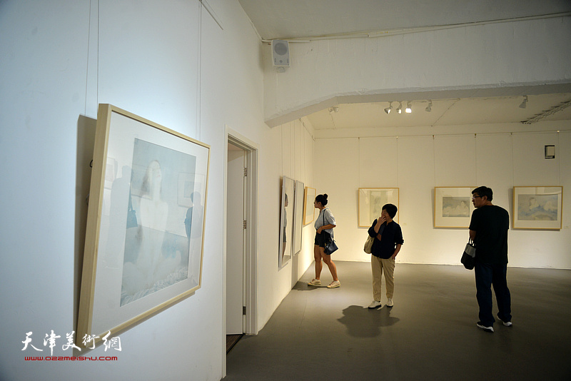 “高玉国个展·工笔艺术与当代女性的审美作品展”现场。