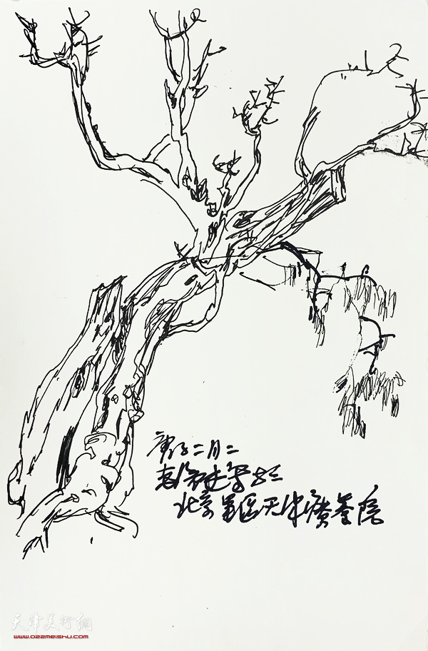 尹沧海新作：《植物速写》