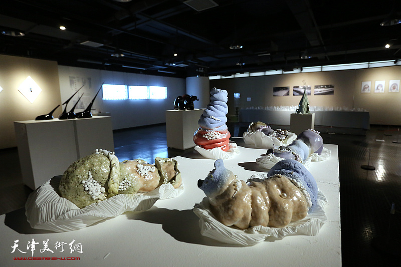 天津美术学院2021届毕业生作品展