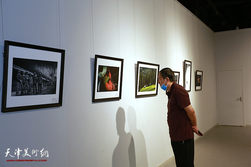 首届泰达摄影艺术学会作品征集展