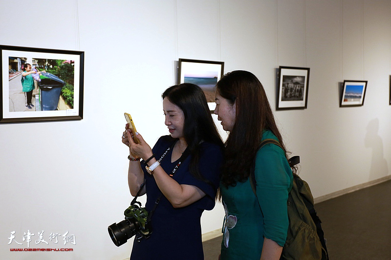 首届泰达摄影艺术学会作品征集展