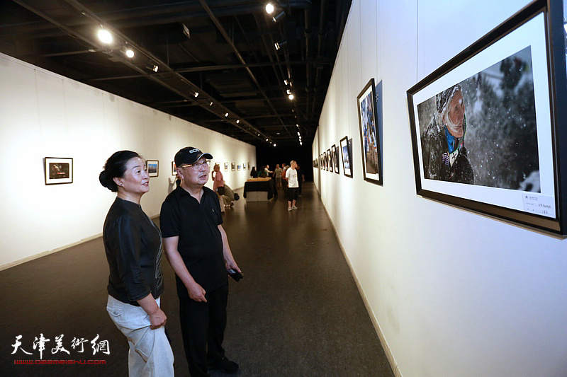 首届泰达摄影艺术学会作品征集展