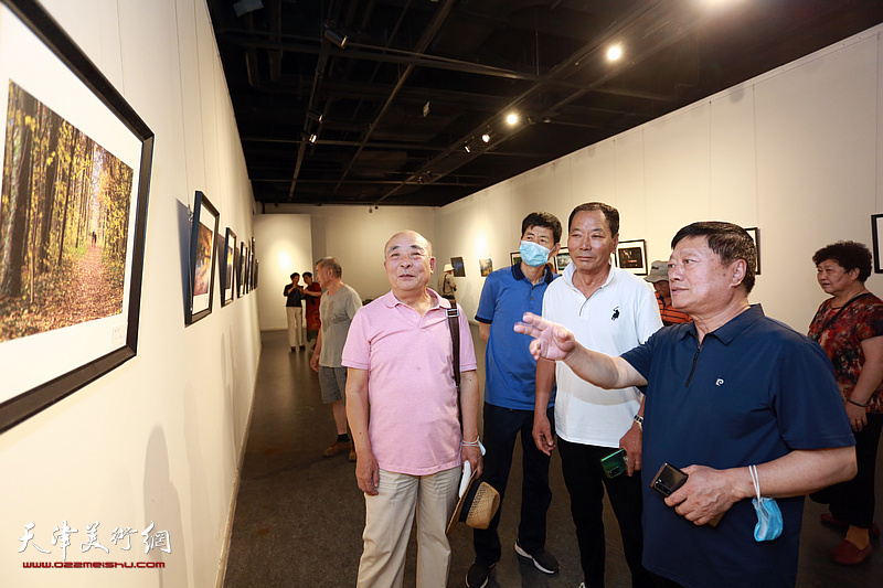 首届泰达摄影艺术学会作品征集展