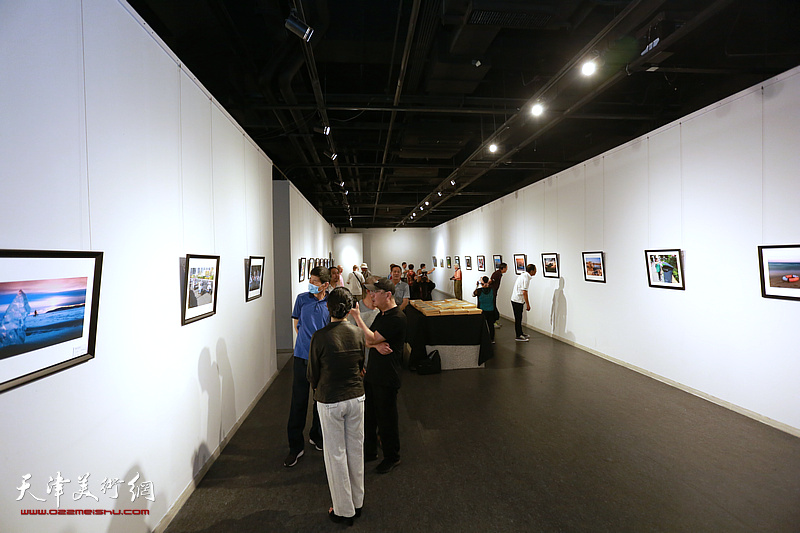 首届泰达摄影艺术学会作品征集展