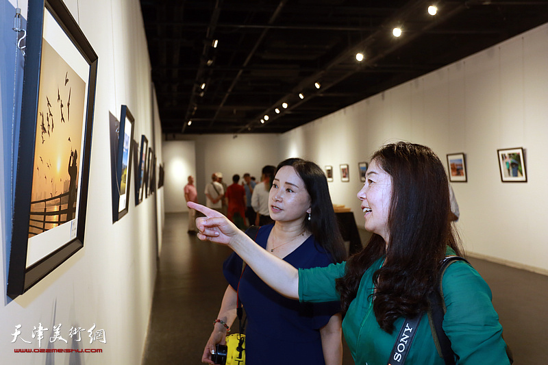 首届泰达摄影艺术学会作品征集展