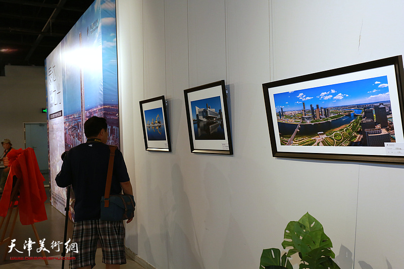 首届泰达摄影艺术学会作品征集展