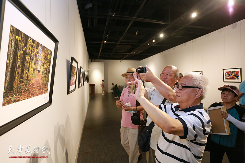 首届泰达摄影艺术学会作品征集展