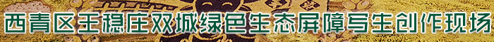 天津美术家871重大生态建设工程实地采风描绘生态天津