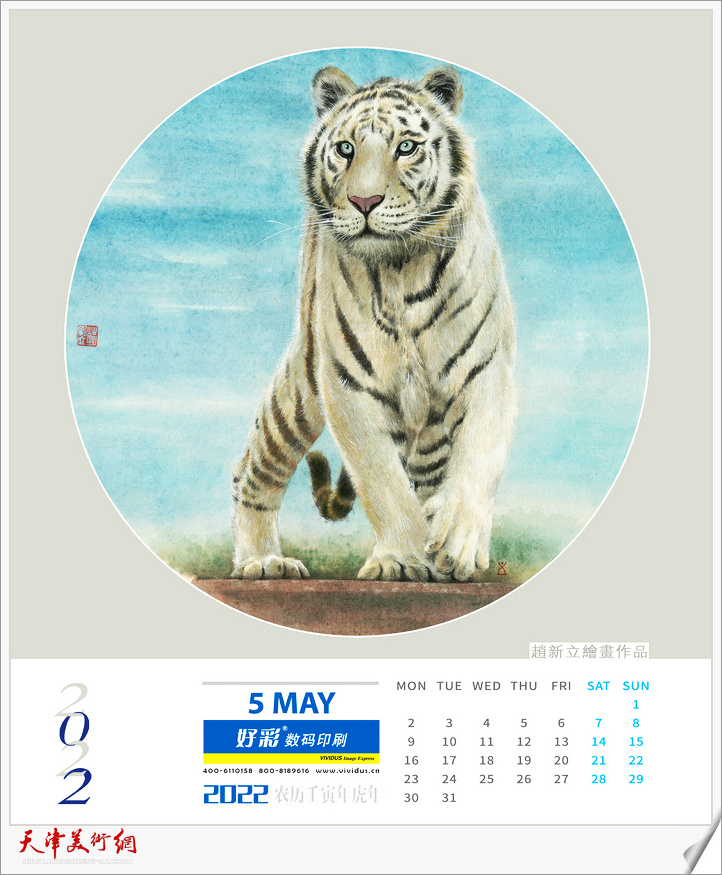 萌虎下山——2022农历壬寅年赵新立绘画作品 五月