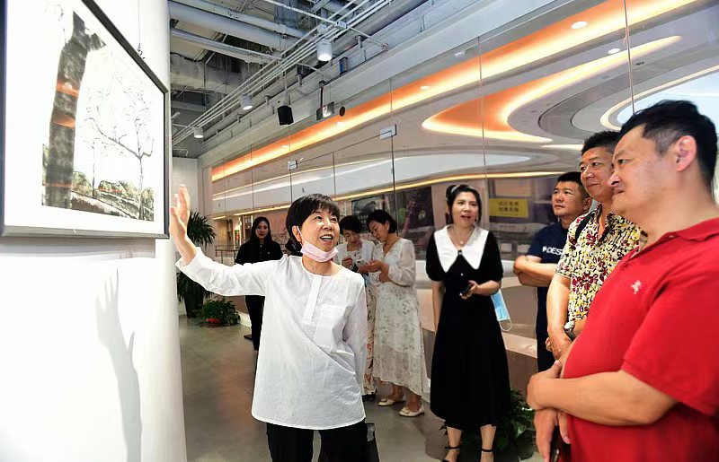一位书画爱好者畅谈观赏白鹏老师作品的感谢。