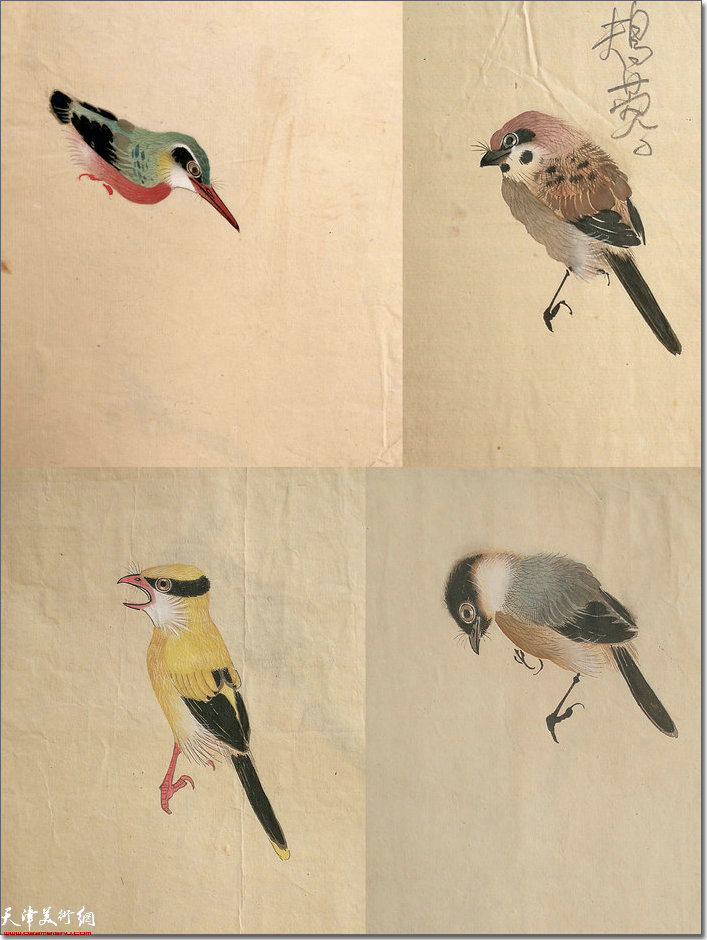 花鸟画稿多种 1970年