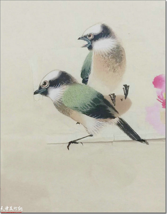 花鸟画课图稿 1970年