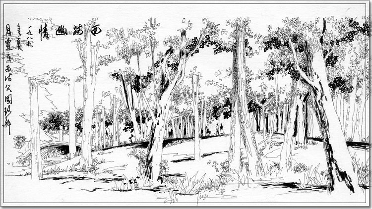万珂新速写作品：西沽幽情 （天津西沽公园）